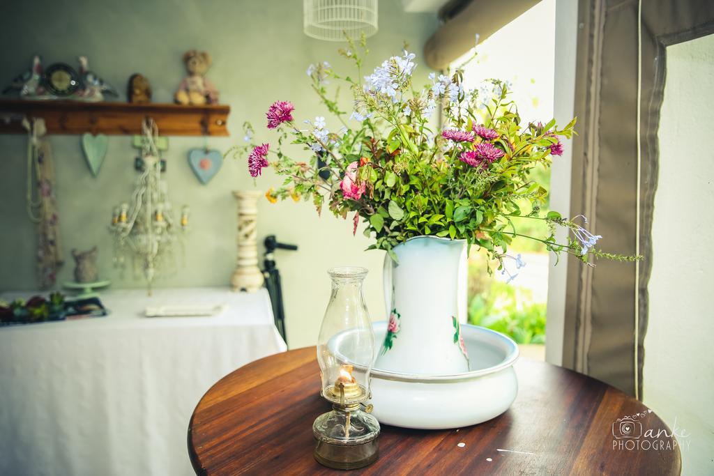 Oue Werf Country House Oudtshoorn Zewnętrze zdjęcie